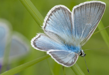 Алдағы күндері аптап ыстық болады