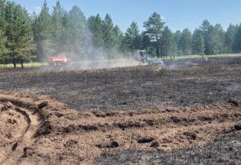 Лесной пожар потушили в Павлодарской области