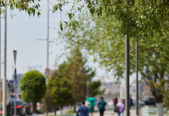 Пустые бутылки в обмен на мороженое: в Караганде продолжается экоакция