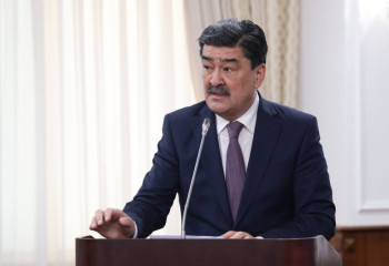 Орман өрттерінің аумағы едәуір қысқарды – Ерлан Нысанбаев