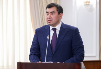 Орман өрті: ТЖМ басшысы қандай шаралар қабылданғанын айтты