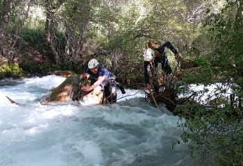 «Суретке түскісі келген». Өзенге құлап кеткен қыз екі күннен бері іздестіріліп жатыр
