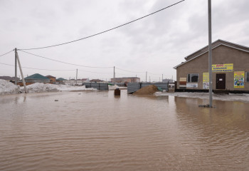 Одобрено 82,1% заявок предпринимателей на возмещение ущерба от паводков