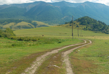 1,15 млн га сельхозземель возвращено в госфонд из планируемых 2 млн га