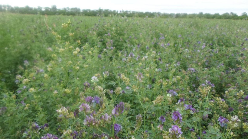  Министерство сельского хозяйства РК 