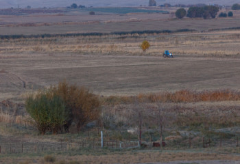 Сенатор просит признать город Кентау и прилегающие села зоной экологического бедствия