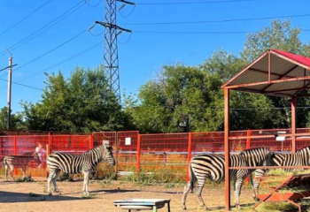 Зебры и журавли из Африки появились в Карагандинском зоопарке