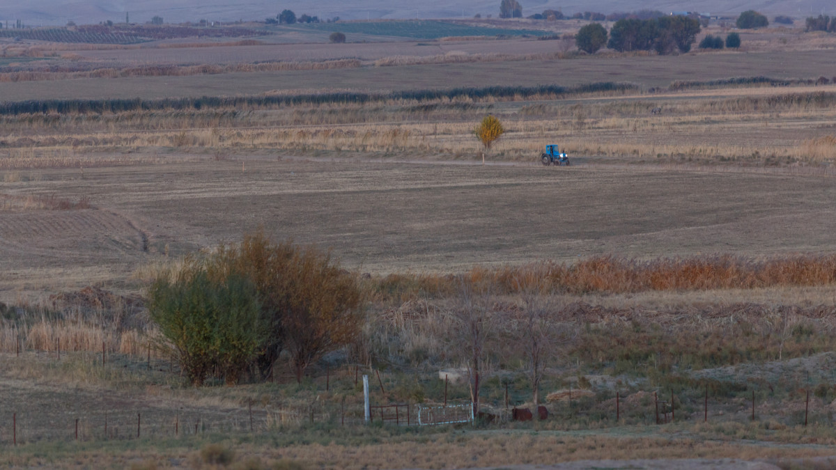  ©El.kz/Артем ЧУРСИНОВ 