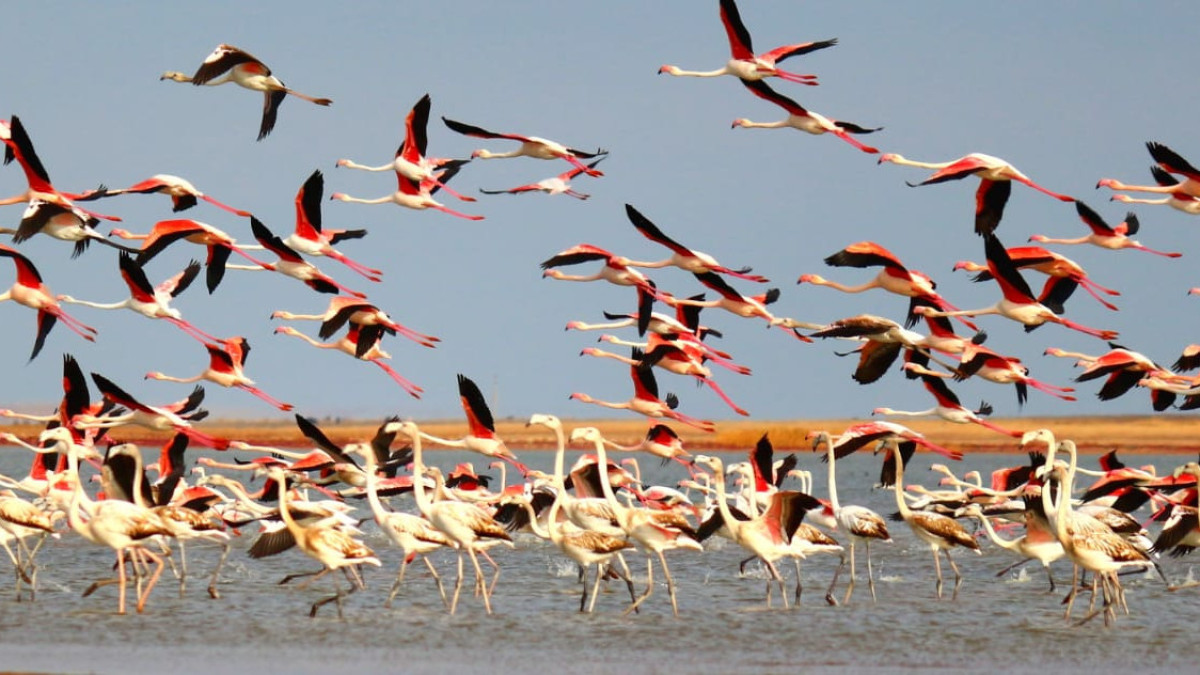  Федулин Александр Евгеньевич 