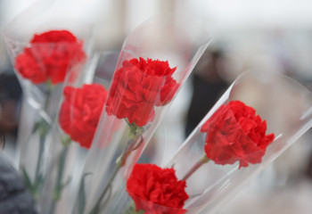 Зараженную партию цветов из Турции пытались ввезти в Казахстан