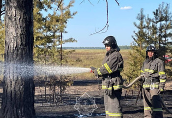 Абай облысында 5 гектар аумақтағы орман өрті сөндірілді