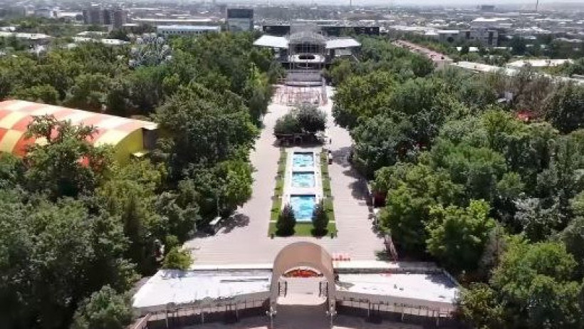  Видеодан кадр 