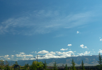 Түркістан облысында  31 мың гектар жер мемлекет балансына өтті