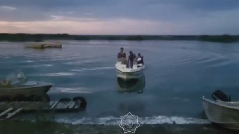  Видеодан кадр 