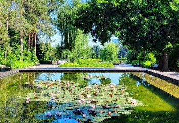 Алматыдағы ботаникалық бақ бір күнге жабылады