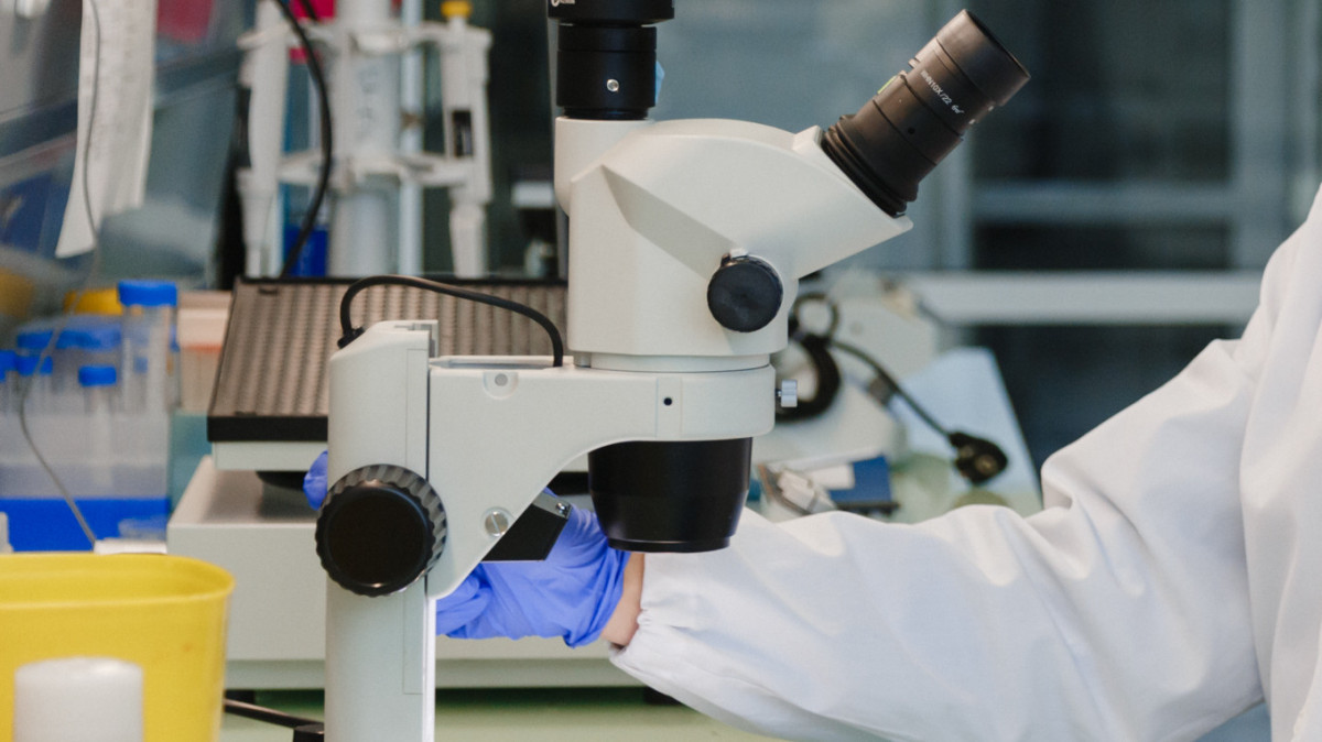  El.kz/Жалгасбек Токтамысов 