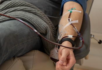 Қан доноры болу үшін нені білу керек?