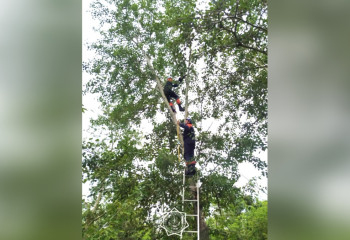 Спасение «пушистого» случилось в парке Петропавловска