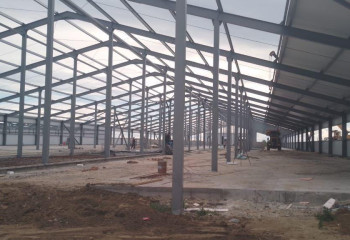 Павлодар облысында роботтандырылған сүт-тауар фермасы салынуда