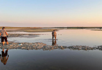 В Атырауской области зафиксирована массовая гибель рыбы из-за нехватки кислорода в воде