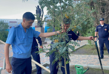 35 деревьев высадили в сквере спасателей области Абай