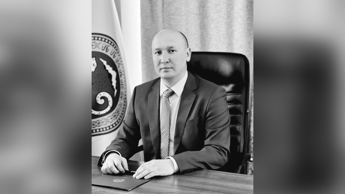  gov.kz 