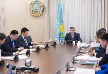 Problematic business issues discussed in Government