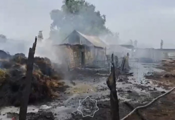 Сено загорелось в ВКО: пожар распространился на 280 м³