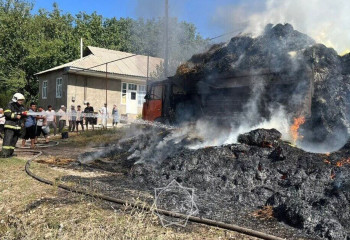 Түркістан облысында шөп тиелген көлік жалынға оранды
