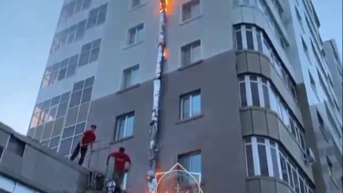  Видеодан кадр 