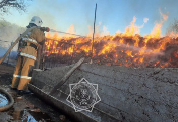 Пламенем охватило 120 тонн сена в Туркестанской области