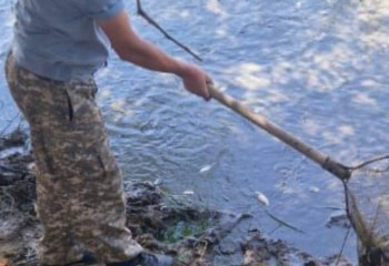 БҚО-да 7 млн балық шабағы құтқарылды