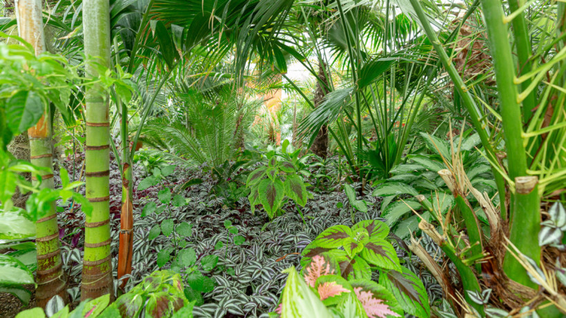  ©El.kz/Артем ЧУРСИНОВ 