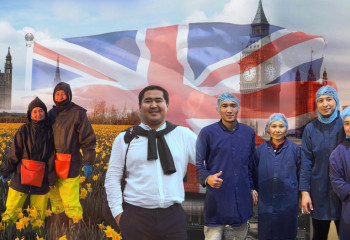 «Айына 1 миллион теңге табамыз деп келдік». Англияға кеткен жұмысшылар қанша айлық алып жүр