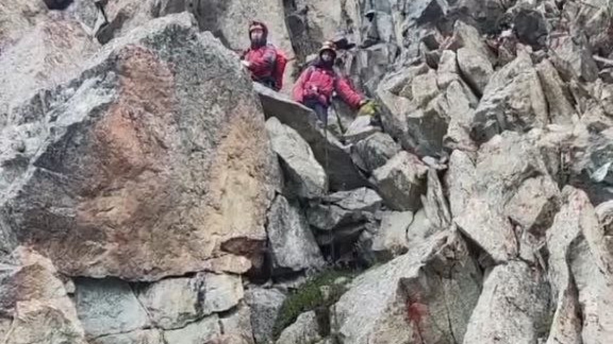  Видеодан кадр 