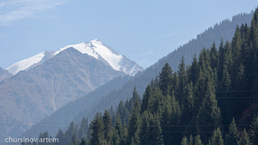  El.kz/Артем Чурсинов 