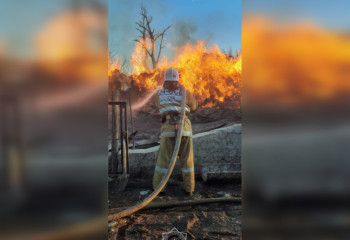 Тысяча гектаров сухой травы сгорело в ЗКО