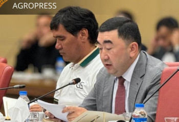 Turkey interested in supply of Kazakh wheat and lentils