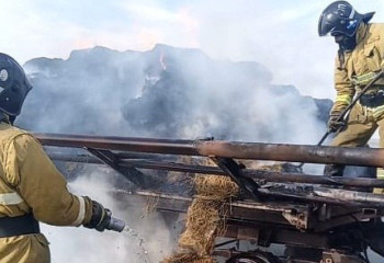 Ақмола облысында 10 тонна шөп өртеніп кетті