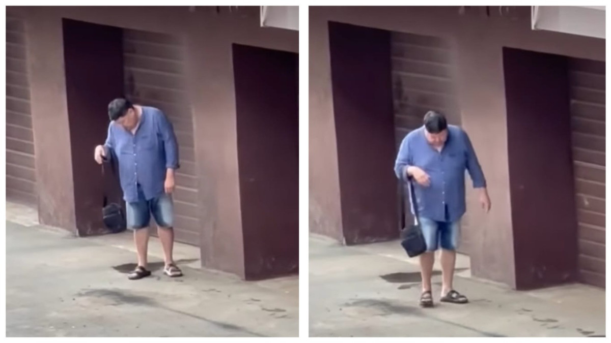  видеодан кадр 