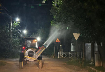 В Алматы начался очередной этап обработки зеленых насаждений