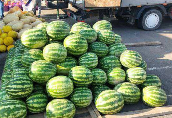 Семейде белгіленбеген орында қарбыз сатқан жас жігіт жазаланды