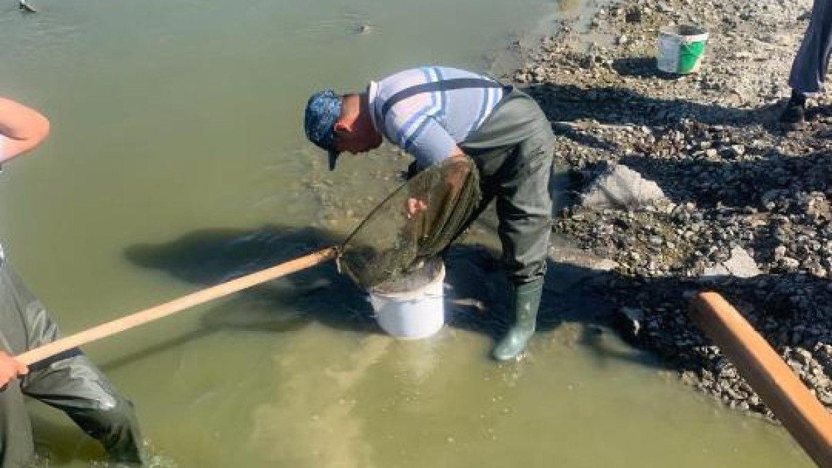  Министерство сельского хозяйства РК 