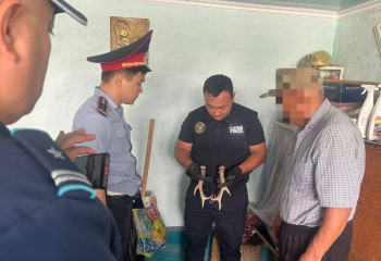 Түркістандық тұрғыннан арқардың мүйіздері тәркіленді