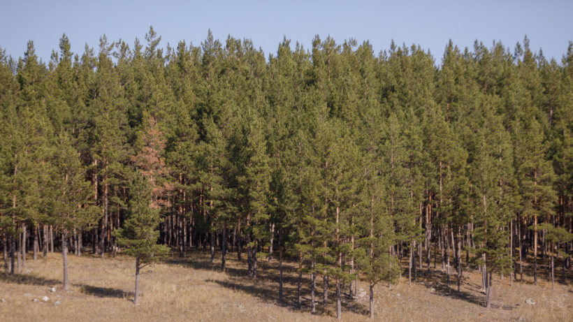  ©El.kz/Артем ЧУРСИНОВ 