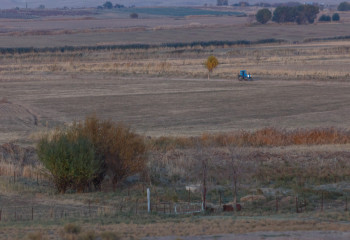 В Жетысу почти 3 тысячи гектаров земель сельхозназначения вернут в госсобственность
