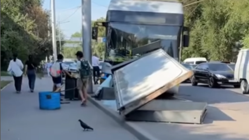  Кадр из видео 