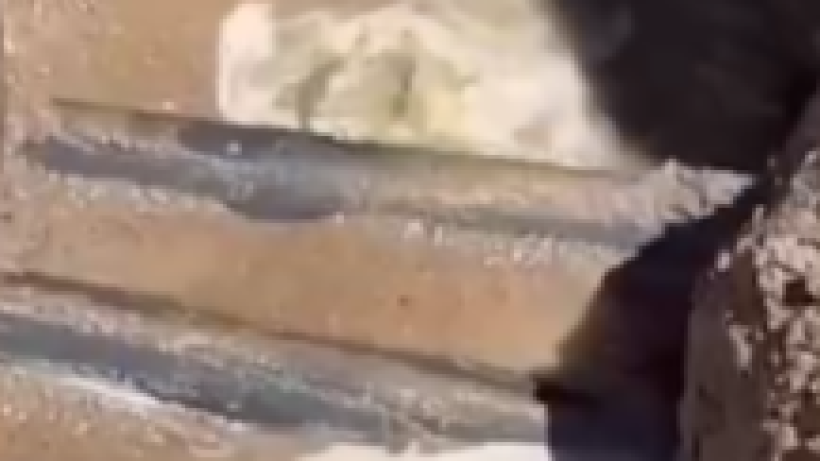  Кадр из видео 