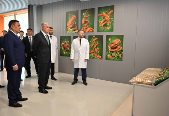 Президент ознакомился с производством полуфабрикатов в Акмолинской области
