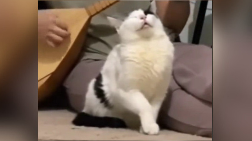  Кадр из видео 